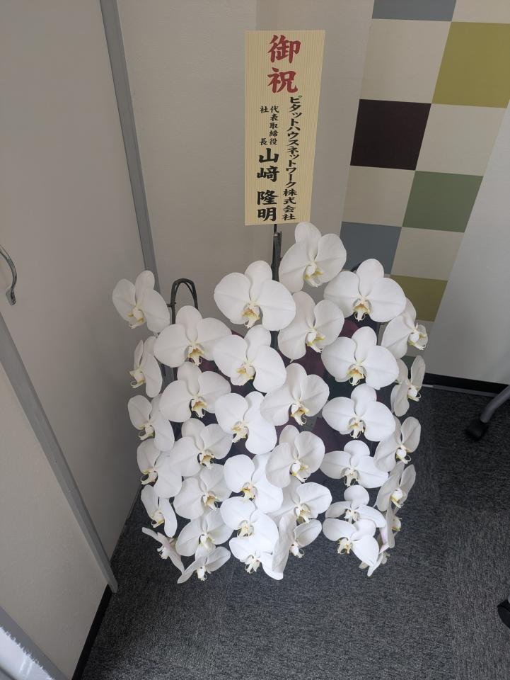 リニューアルオープン🎊