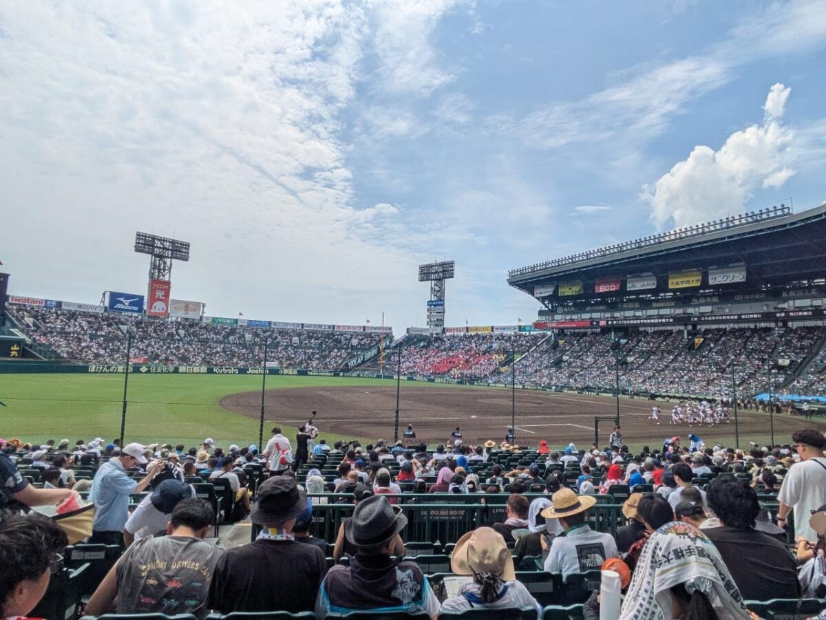 甲子園⚾
